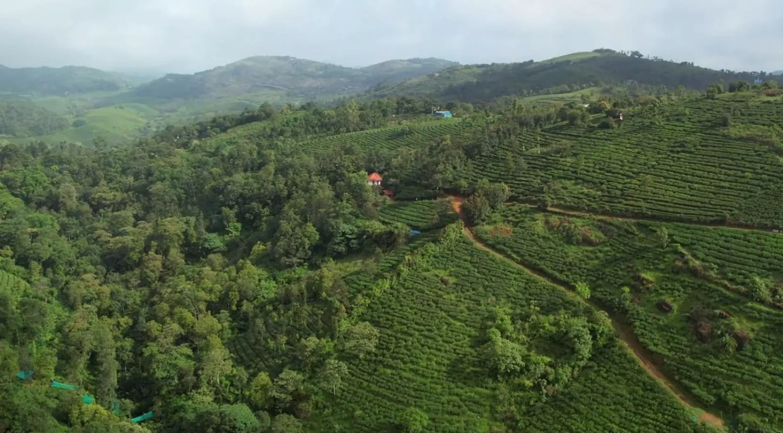 Country house Tea Haven By Yathroam Guest House Vagamon