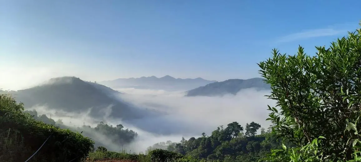 Tea Haven By Yathroam Guest House Vagamon
